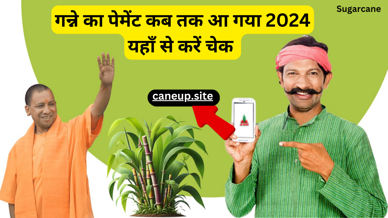 Ganna Payment 2024-25:गन्ने का पेमेंट कब तक आ गया 2024 यहाँ से करें चेक